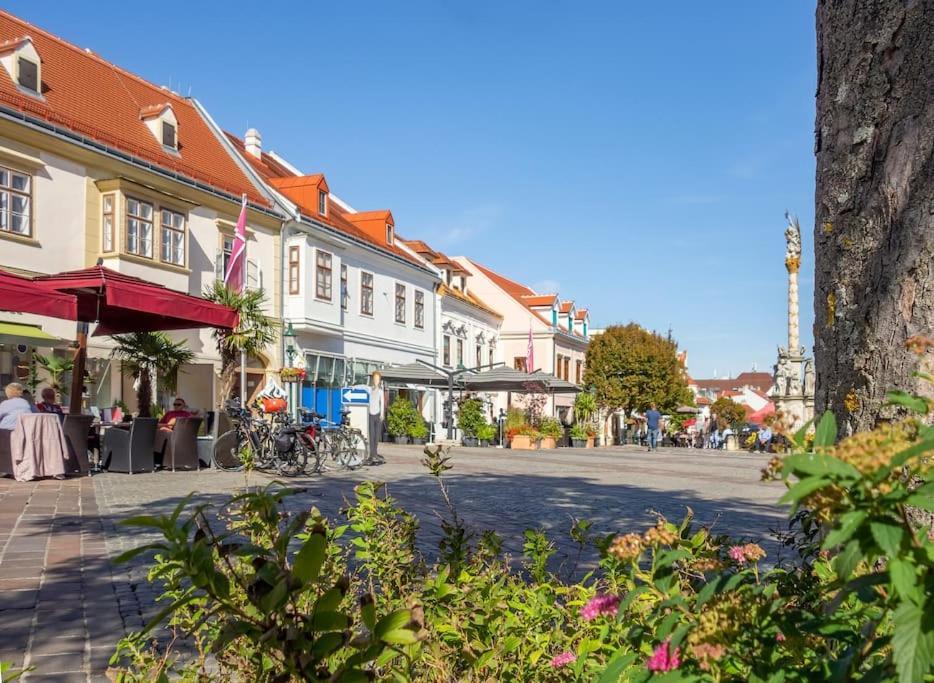 St. Antoni Suite 3 Eisenstadt Exterior photo